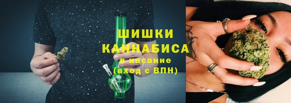 прущие крисы Вяземский