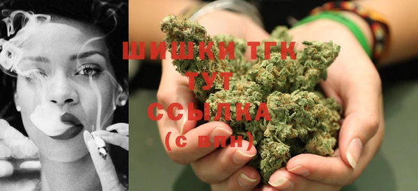 прущие крисы Вяземский